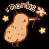 grizzly_kiwi